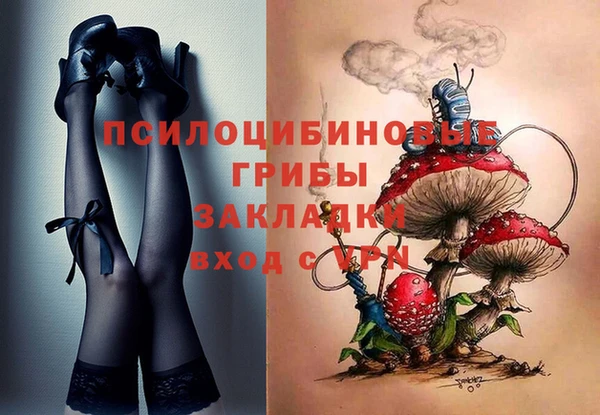 эйфоретик Зеленодольск